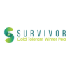 Survivor Peas - Image 3