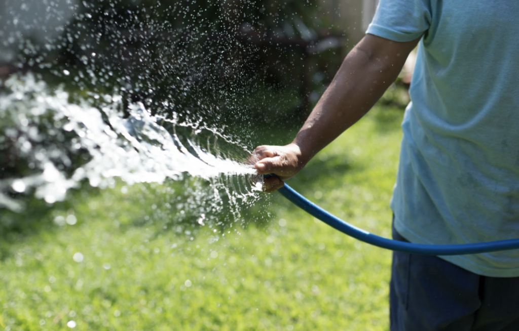 Lawn Survival During a Drought - Missouri Southern Seed