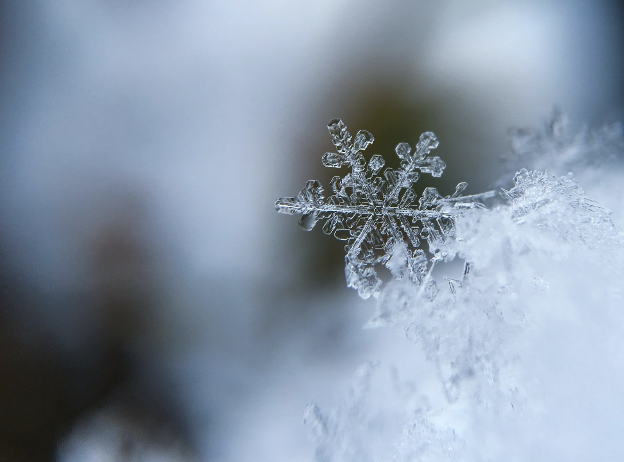 The Benefits of Snow on Soil - Missouri Southern Seed