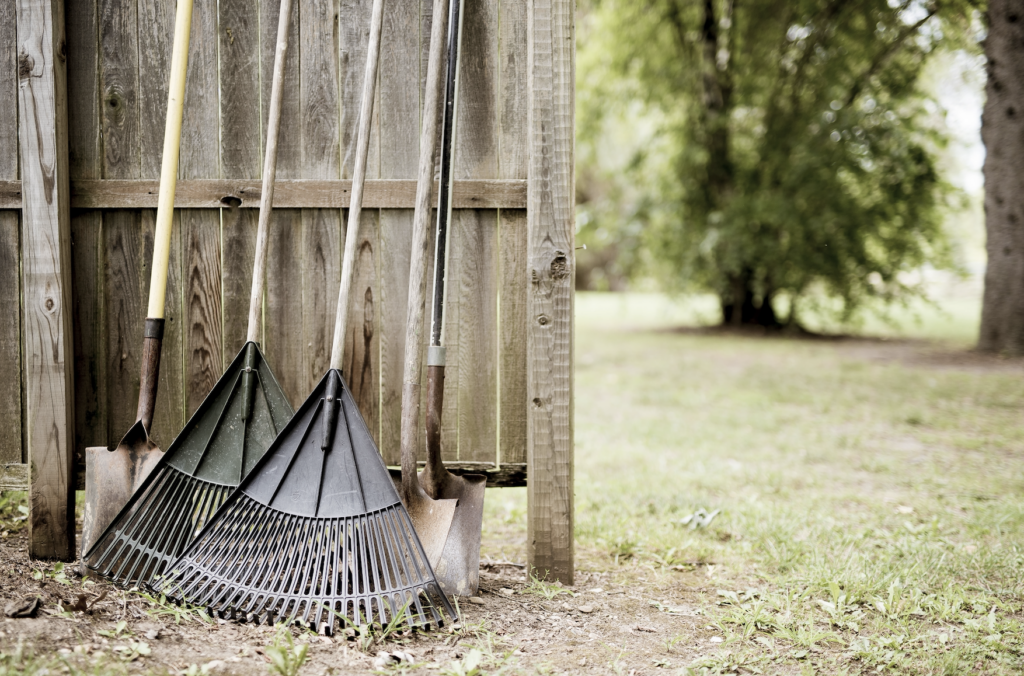 How to tell the difference between dead and dormant grass Missouri