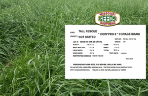 CowPro Fescue with seed label